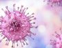 citomegalovirus